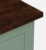 Davos Mango Wood 2 Door Cabinet In Light Green Colour