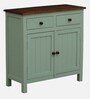 Davos Mango Wood 2 Door Cabinet In Light Green Colour