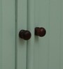 Davos Mango Wood 2 Door Cabinet In Light Green Colour