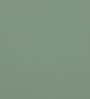 Davos Mango Wood 2 Door Cabinet In Light Green Colour