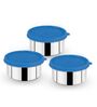 Day To Day  Blue Stainless steel ( Set of 3 )  Storage Container