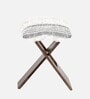 Dayton Stool Set Of 2 In Provisional Teak Finish