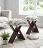 Dayton Stool Set Of 2 In Provisional Teak Finish