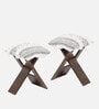 Dayton Stool Set Of 2 In Provisional Teak Finish