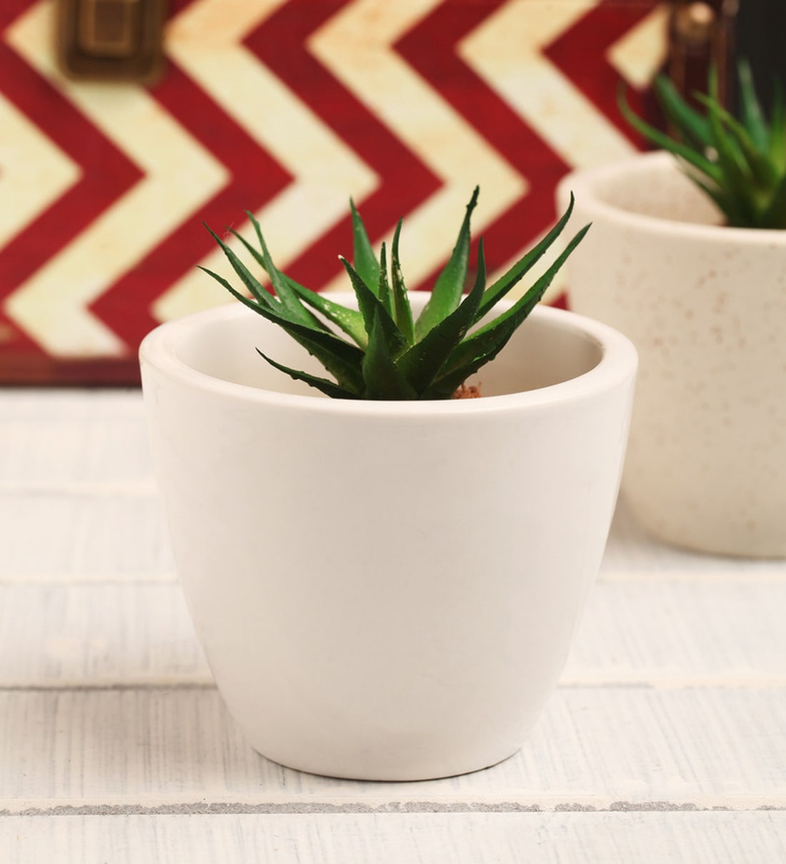 Buy White Ceramic Table Top Planter, Set of 2 by Decardo Online Desk