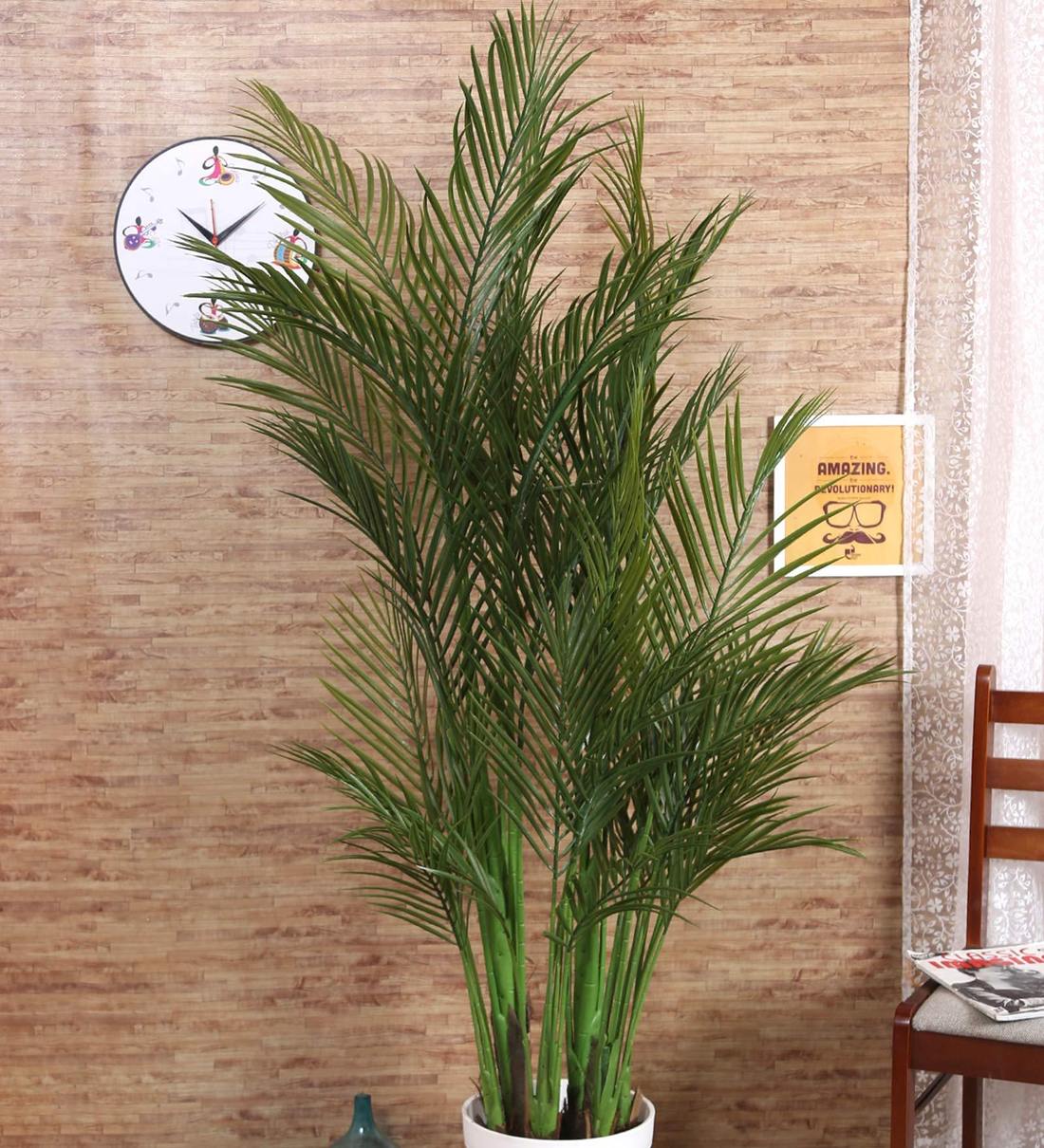 Buy Green Decorative Artificial 5 Branches Arica Floor Plant without