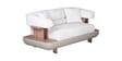 Denali 2 Seater Sofa In White And Grey Color