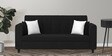 Denmark 3 Seater Sofa In Zed Black Colour