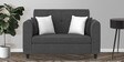 Denmark Fabric 2 Seater Sofa in Charcoal Grey Colour