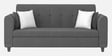 Denmark Fabric 3 Seater Sofa in Charcoal Grey Colour