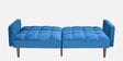 Denzel Sofa Cum Bed In Blue Finish