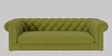 Derby Velvet 3 Seater Sofa In Lime Green Colour