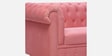 Derby Velvet Fabric 3 Seater Sofa in Blush Pink Color