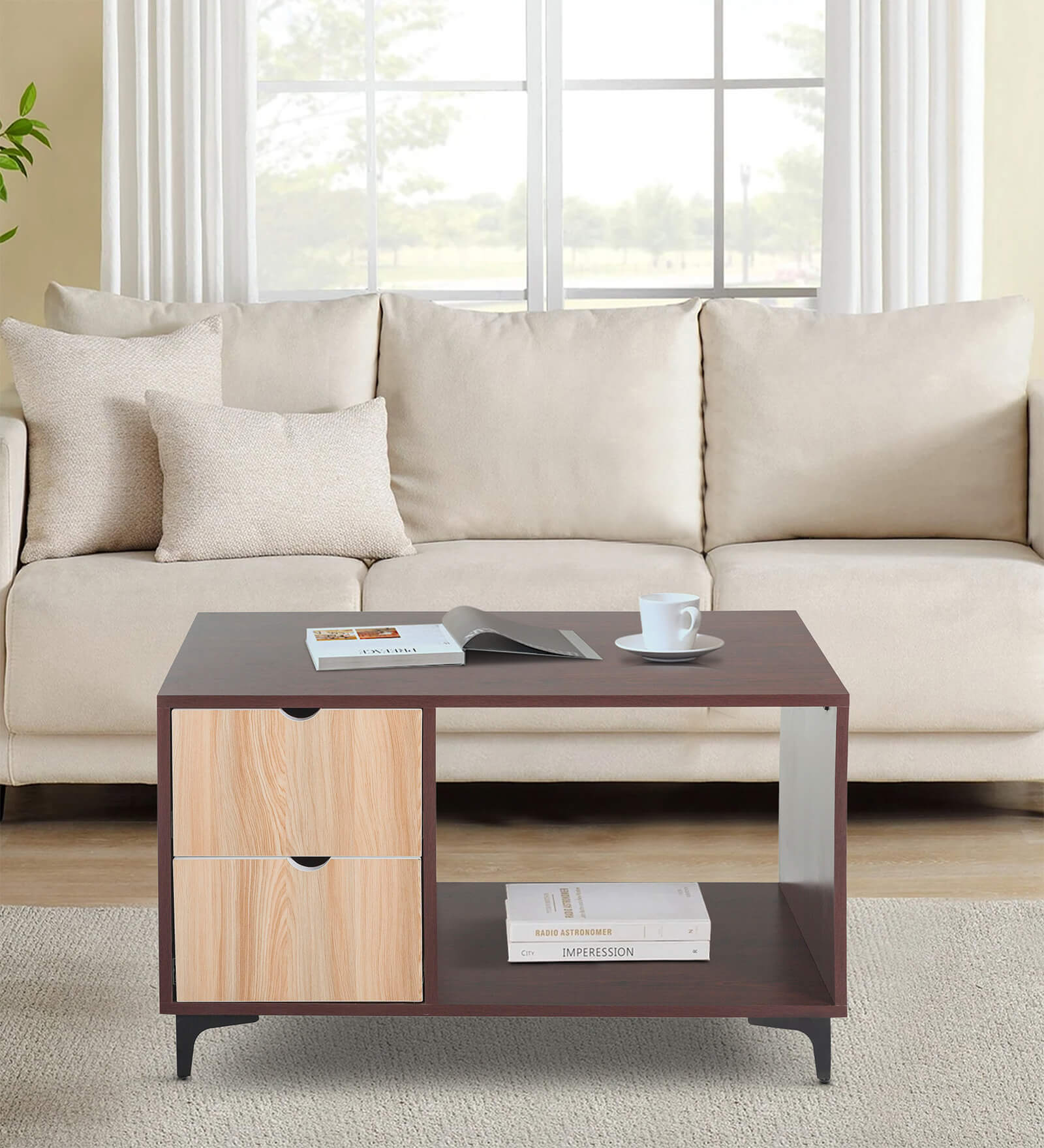 Denzel Coffee Table In Brown & Teak Finish with Drawers