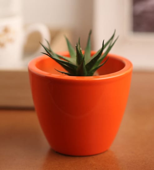 Buy Orange Ceramic Small Table Top Planter by Decardo Online - Pots