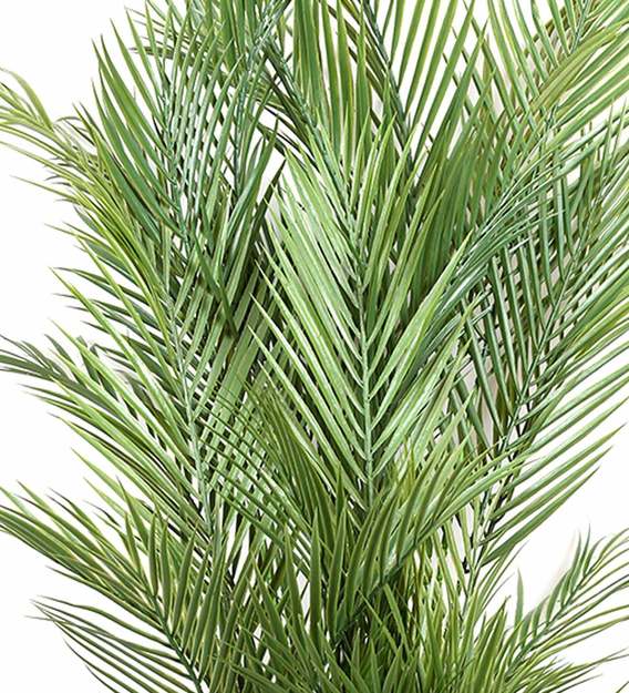 Buy Green Decorative Artificial 5 Branches Arica Floor Plant without