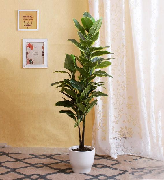 green decorative artificial rubber plant without pot