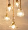Decanterlight Five Light Chandelier