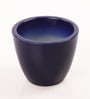Navy Blue Ceramic Table Top Planter, Set Of 2