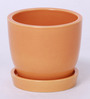 Yellow Ceramic Table Top Planter With Saucer