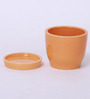 Yellow Ceramic Table Top Planter With Saucer