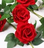 Red Velvet Rose Artificial Flower Pack of 2