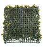 Decorative  50 X 50 Cm Green Polyvinyl Chloride Artificial Grass