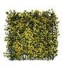 Decorative  50 X 50 Cm Green Polyvinyl Chloride Artificial Grass