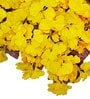 Decorative  50 X 50 Cm Yellow Polyvinyl Chloride Artificial Grass