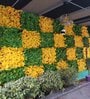 Decorative  50 X 50 Cm Yellow Polyvinyl Chloride Artificial Grass