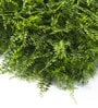 Decorative 50 X 50 Cm Green Polyvinyl Chloride Artificial Grass