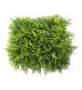 Decorative 50 X 50 Cm Green Polyvinyl Chloride Artificial Grass