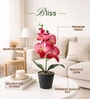 Maroon Decorative Artificial Flower Pot