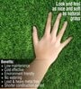 Decorative Lawn Green Polypropylene Artificial Grass