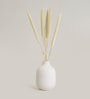 Decorative Medium White Ceramic Vase
