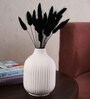 Decorative Medium White Ceramic Vase