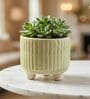 Light Green Ceramic Indoor Planter with Drainage