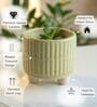 Light Green Ceramic Indoor Planter with Drainage
