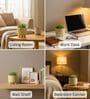 Light Green Ceramic Indoor Planter with Drainage