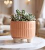 Peach Ceramic Indoor Planter with Drainage
