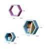 Hexagonal Modular Wall Shelf (Set of 6) in Pink & Blue Finish