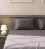 Deep Grey 100% Cotton 300TC Solid Superking Bedsheet with 2 Pillow Covers (Quilted)