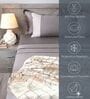 Deep Grey 300TC 100% Cotton Solids Flat Super King Bedsheet With 2 Pillow Covers