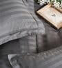 Grey 300TC 100% Cotton Stripe Flat Super King Bedsheet with 2 Pillow Covers
