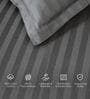 Grey 300TC 100% Cotton Stripe Flat Super King Bedsheet with 2 Pillow Covers