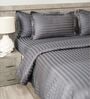 Grey 300TC 100% Cotton Stripe Flat Super King Bedsheet with 2 Pillow Covers