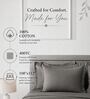Grey 400TC 100% Cotton Solid Flat Super King Bedsheet With 2 Pillow Covers
