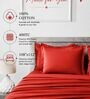 Maroon 400TC 100% Cotton Solid Flat Super King Bedsheet With 2 Pillow Covers