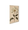 White Flower Canvas Series Set of 3 Printed Wall Painting White Frame