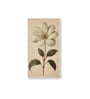 White Flower Canvas Series Set of 3 Printed Wall Painting White Frame